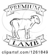 Poster, Art Print Of Black And White Premium Lamb Food Banners And Sheep