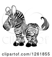 Poster, Art Print Of Cute Happy Black And White Zebra Looking Back