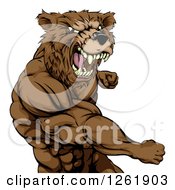 Roaring Angry Muscular Bear Man Punching