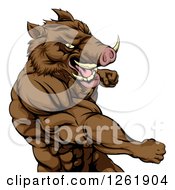 Muscular Aggressive Boar Man Punching