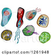 Clipart Of Doodled Viruses Or Amoebas Royalty Free Vector Illustration