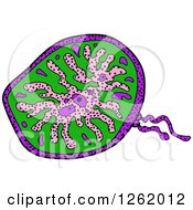 Poster, Art Print Of Doodled Virus Or Amoeba