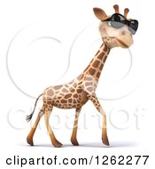 Clipart Of A 3d Giraffe Wearing Sunglasses And Walking Royalty Free Illustration