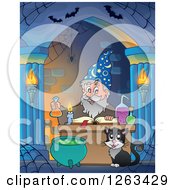 Cat And Wizard Making A Spell In An Alcove