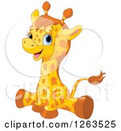Poster, Art Print Of Cute Baby Giraffe Doing The Splits