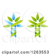 Clipart Of Green And Blue Dna Double Helix Tree Designs Royalty Free Vector Illustration by AtStockIllustration