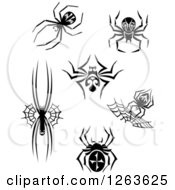 Poster, Art Print Of Black And White Spiders And Webs