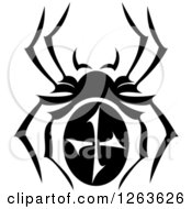 Poster, Art Print Of Black And White Spider