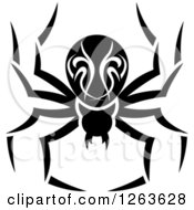 Poster, Art Print Of Black And White Spider