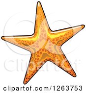 Clipart Of An Orange Starfish Royalty Free Vector Illustration