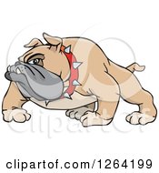 Poster, Art Print Of Tough Brown Bulldog