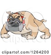 Poster, Art Print Of Tough Curious Brown Bulldog