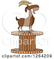 Red Male Boer Goat Buck On A Giant Spool
