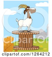 Red And White Male Boer Goat Wether On A Giant Spool In A Barnyard