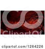 Clipart Of Vampire Bats Flying Over Grungy Red And Bare Tree Branches Royalty Free Illustration