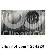 Clipart Of A Spooky 3d Landscape Of Fog In The Woods Royalty Free Illustration by KJ Pargeter
