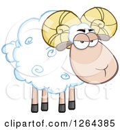 Poster, Art Print Of White Ram Sheep With Curly Horns