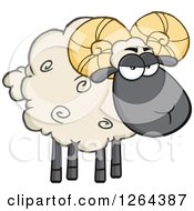 Poster, Art Print Of Sheep With Curly Horns