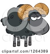 Poster, Art Print Of Black Sheep With Curly Horns