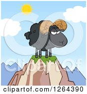 Black Ram Sheep With Curly Horns On A Mountain Top