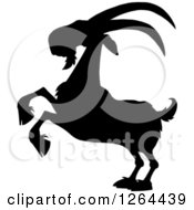 Poster, Art Print Of Black Silhouetted Rearing Buck Goat