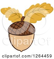 Poster, Art Print Of Acorn With Autumn Oak Leaves