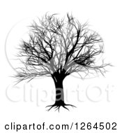 Clipart Of A Black Bare Tree Silhouette Royalty Free Vector Illustration by AtStockIllustration