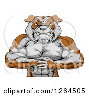 Muscular Bulldog Man Punching One Fist Into A Palm