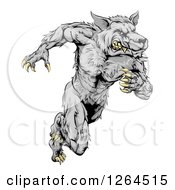 Clipart Of A Gray Muscular Wolf Man Sprinting Royalty Free Vector Illustration