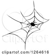 Poster, Art Print Of Black And White Spider In A Web