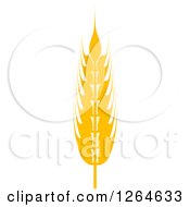 Clipart Of A Whole Grain Ear Royalty Free Vector Illustration