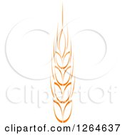 Poster, Art Print Of Whole Grain Ear