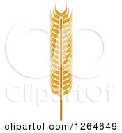Clipart Of A Whole Grain Ear Royalty Free Vector Illustration