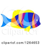 Clipart Of A Colorful Marine Fish Royalty Free Vector Illustration