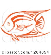 Poster, Art Print Of Sketched Orange Marine Fish