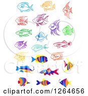 Clipart Of Colorful Fish Royalty Free Vector Illustration