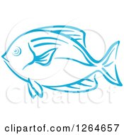 Clipart Of A Sketched Blue Marine Fish Royalty Free Vector Illustration