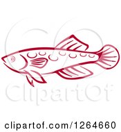 Poster, Art Print Of Sketched Red Marine Fish