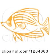 Poster, Art Print Of Sketched Orange Marine Fish