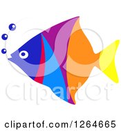 Poster, Art Print Of Colorful Marine Fish