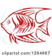 Poster, Art Print Of Sketched Red Marine Fish