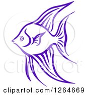 Poster, Art Print Of Sketched Purple Marine Fish