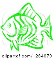 Poster, Art Print Of Sketched Green Marine Fish