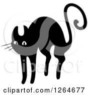 Poster, Art Print Of Black And White Scared Cat