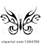 Poster, Art Print Of Black And White Tribal Butterfly