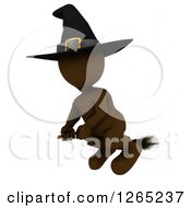 3d Brown Witch Flying On A Broomstick