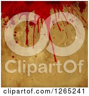Poster, Art Print Of Halloween Horror Background Of Blood Splatters