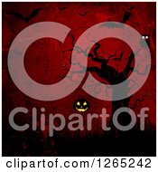 Poster, Art Print Of Spooky Tree With An Owl And Hanging Jackolantern Pumpkin Over Dark Grungy Red And Vampire Bats