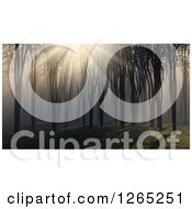 Clipart Of 3d Sunlight Breaking Through Trees And Fog In The Woods Royalty Free Illustration by KJ Pargeter