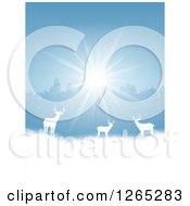 Poster, Art Print Of White Silhouetted Alert Deer In The Snow Against Trees And Sunshine